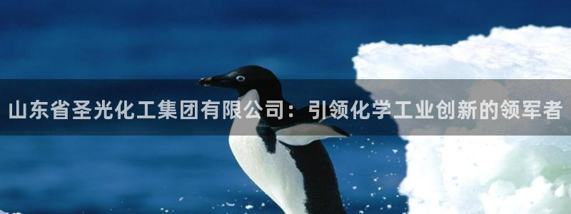 球盟会贴吧：山东省圣光化工集团有限公司：引领化学工业创新的领