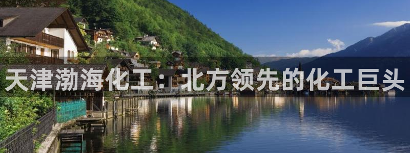 球盟会APP下载：天津渤海化工：北方领先的化工巨头