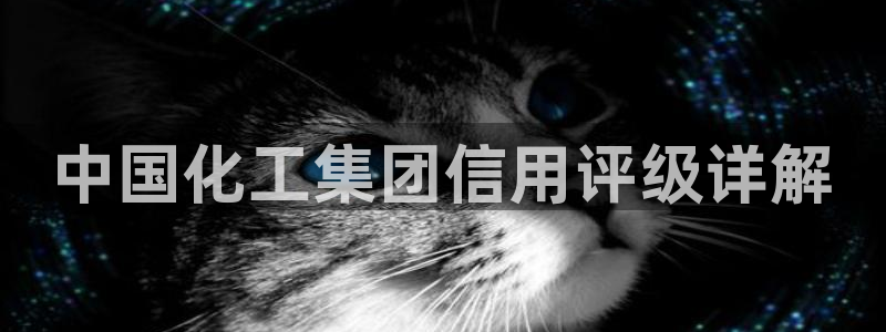 球盟会平台会黑单吗