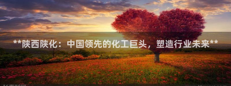 球盟会入口：**陕西陕化：中国领先的化工巨头，塑造行业未来*