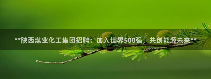 球盟会黑款吗：**陕西煤业化工集团招聘：加入世界500强，共