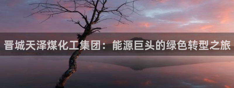 球盟会官方登录平台