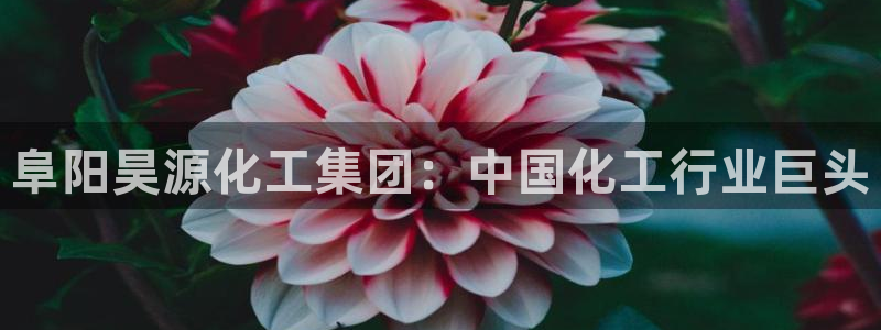 球盟会网址