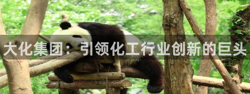 球盟会黑款吗还是白款