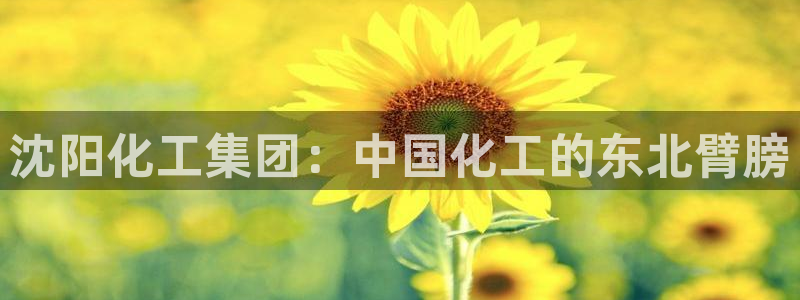 球盟会网址多少