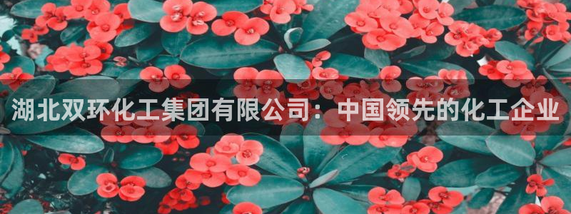 球盟会论坛：湖北双环化工集团有限公司：中国领先的化工企业