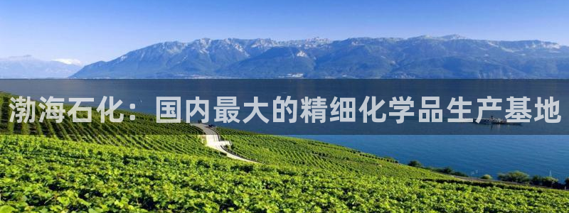 球盟会可以提现么是真的吗：渤海石化：国内最大的精细化学品生产