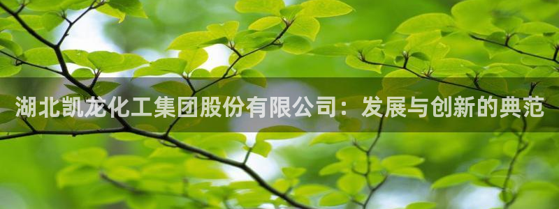 球盟会黑台
