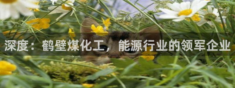 球盟会官方app首页入口