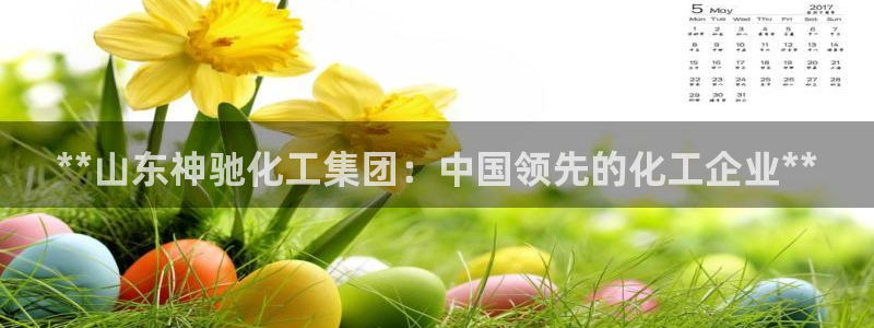 球盟会可以提现么是真的吗：**山东神驰化工集团：中国领先的化