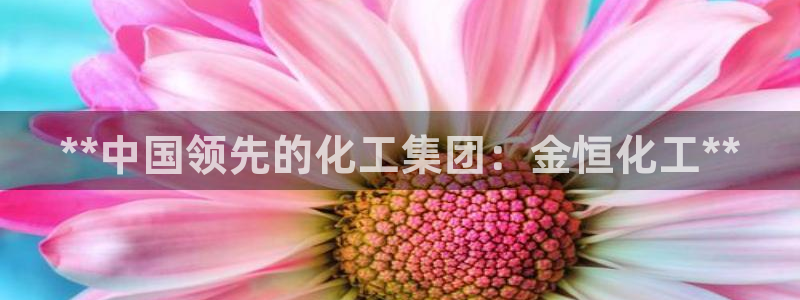 球盟会app安装：**中国领先的化工集团：金恒化工**