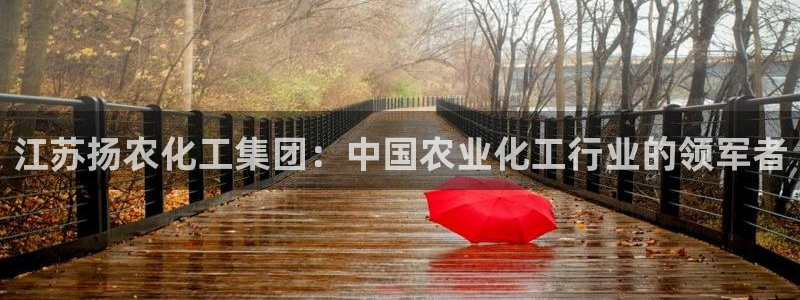 球盟会黑款吗