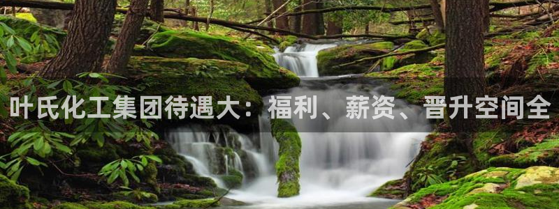 球盟会qmh网页版登录