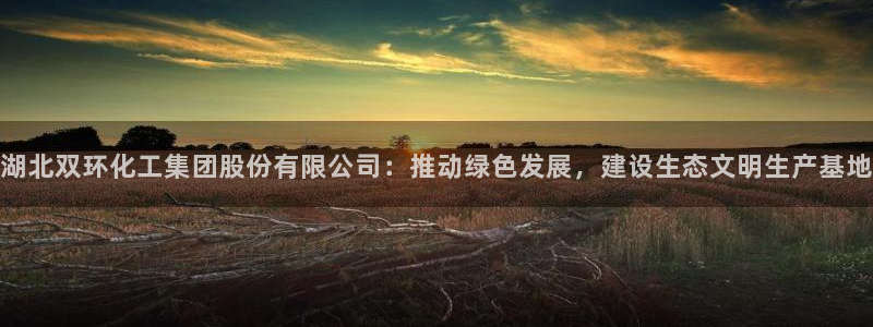球盟会用的客服聊天是哪个软件：湖北双环化工集团股份有限公司：