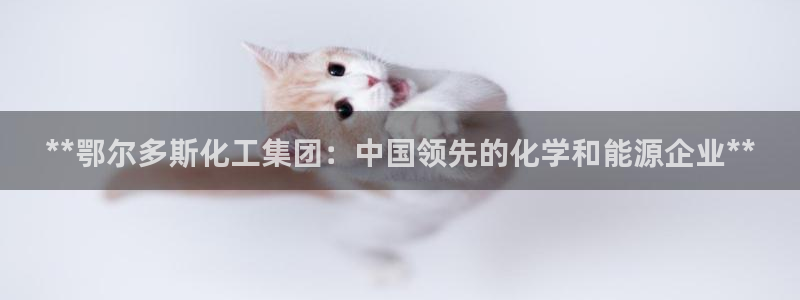 球盟会官方客服：**鄂尔多斯化工集团：中国领先的化学和能源企