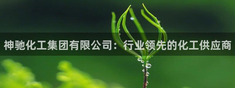 球盟会综合体育平台：神驰化工集团有限公司：行业领先的化工供应