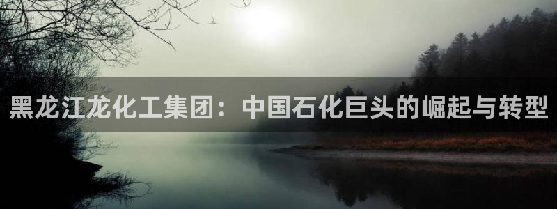 球盟会官方网入口