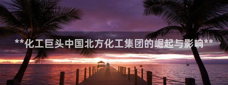 球盟会封号