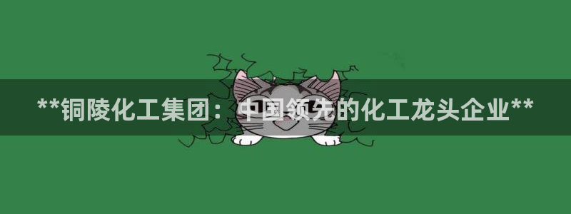 球盟会黑嘛：**铜陵化工集团：中国领先的化工龙头企业**