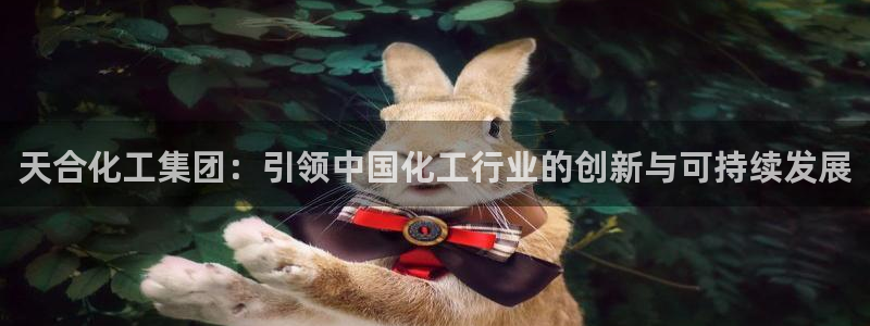 球盟会qmh官网：天合化工集团：引领中国化工行业的创新与可持
