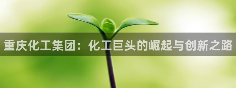 球盟会优惠券