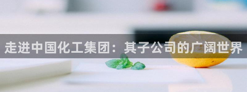 球盟会app网址多少
