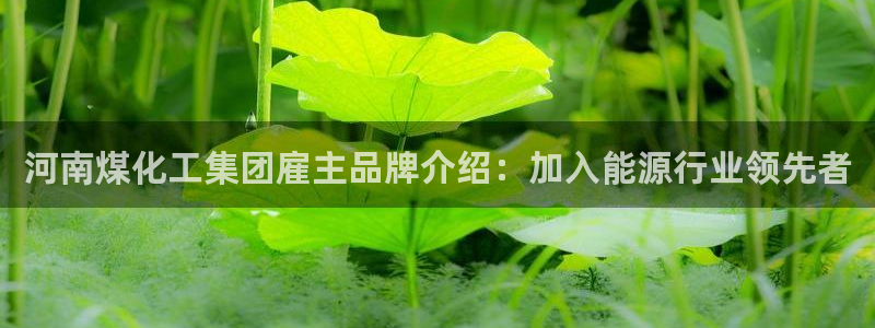 球盟会登陆中心：河南煤化工集团雇主品牌介绍：加入能源行业领先