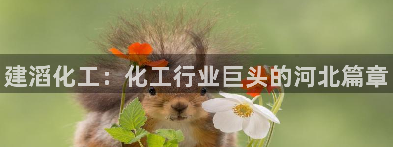 球盟会app最新地址在哪