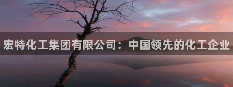 球盟会黑款吗知乎文章：宏特化工集团有限公司：中国领先的化工企