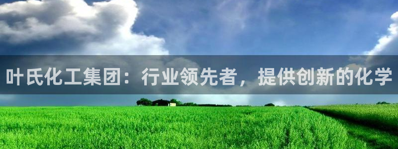 球盟会能提现吗：叶氏化工集团：行业领先者，提供创新的化学