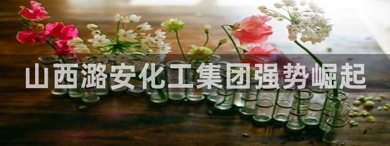 球盟会网页版