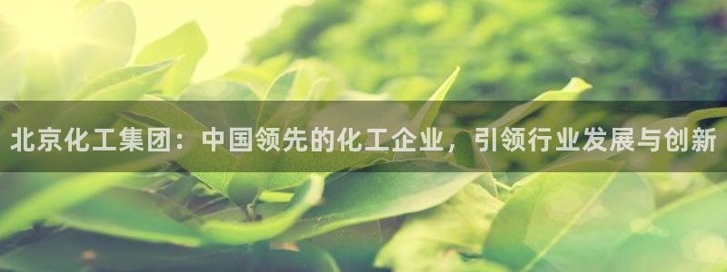 球盟会中国官方网站：北京化工集团：中国领先的化工企业，引领行