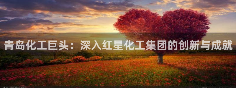 球盟会官方网站入口：青岛化工巨头：深入红星化工集团的创新与成