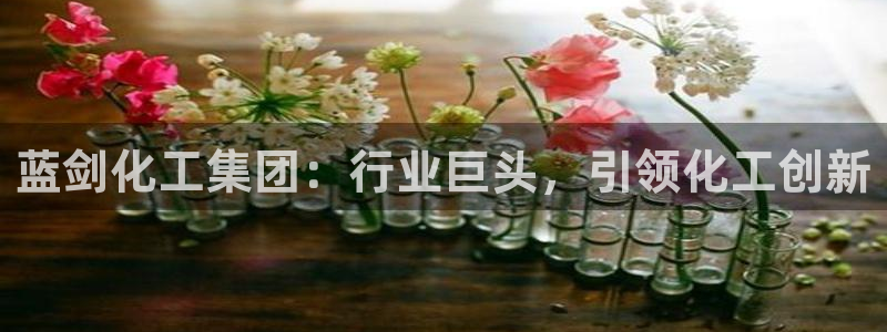 球盟会登陆入口
