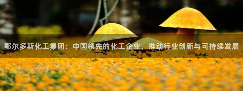 球盟会能退钱吗是真的吗：鄂尔多斯化工集团：中国领先的化工企业