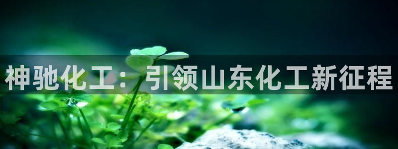 球盟会封禁：神驰化工：引领山东化工新征程