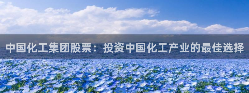 球盟会官方网站：中国化工集团股票：投资中国化工产业的最佳选择