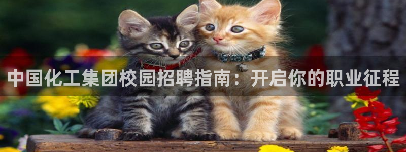 球盟会黑钱