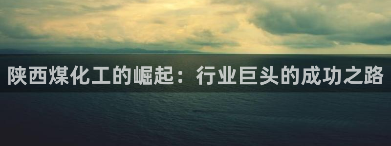 球盟会黑钱：陕西煤化工的崛起：行业巨头的成功之路