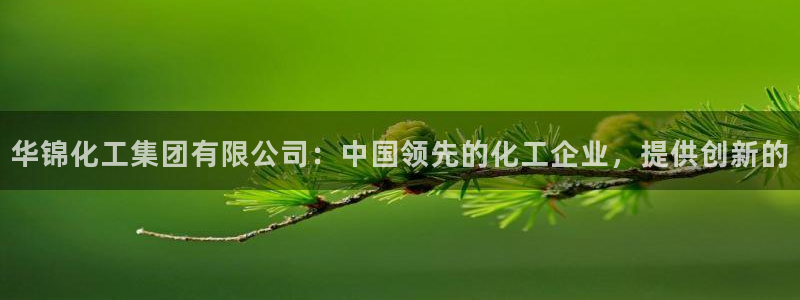 球盟会可以提现么是真的吗：华锦化工集团有限公司：中国领先的化