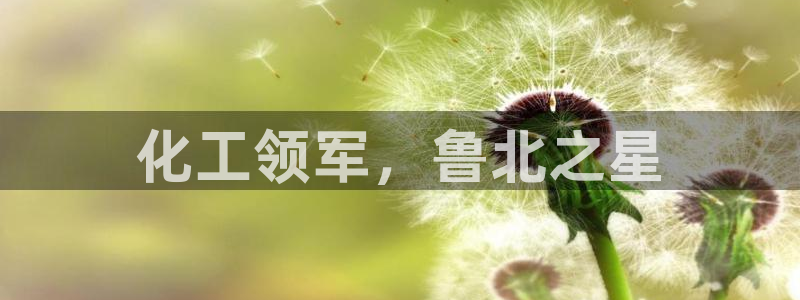 球盟会app：化工领军，鲁北之星