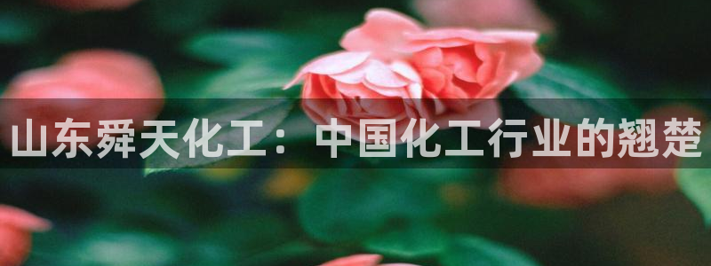 球盟会头号玩家