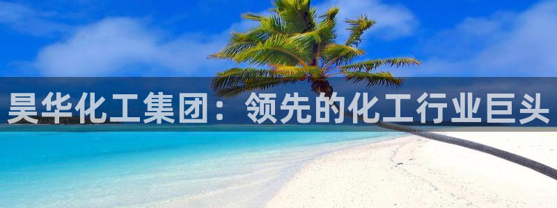 球盟会能提现吗是真的吗：昊华化工集团：领先的化工行业巨头