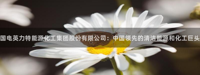 球盟会体验金：国电英力特能源化工集团股份有限公司：中国领先的