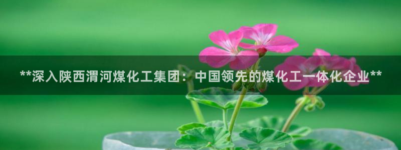 球盟会官方登录平台：**深入陕西渭河煤化工集团：中国领先的煤