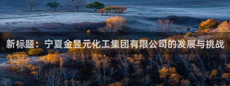 球盟会体育平台：新标题：宁夏金昱元化工集团有限公司的发展与挑