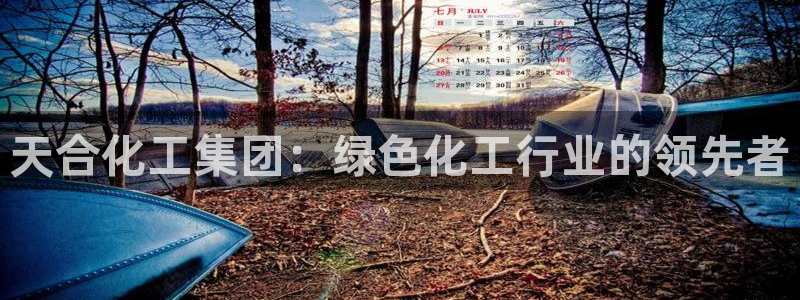 球盟会黑：天合化工集团：绿色化工行业的领先者