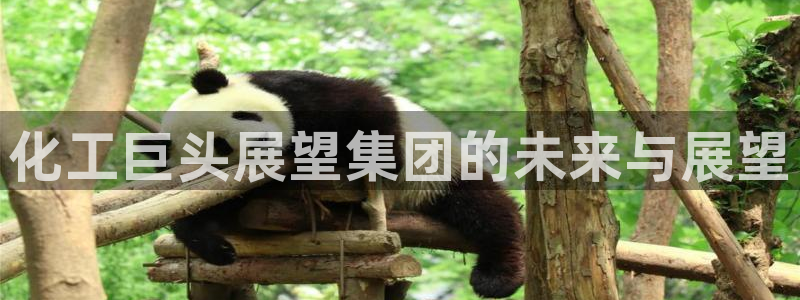 球盟会官方