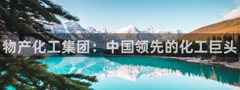 球盟会qm：物产化工集团：中国领先的化工巨头