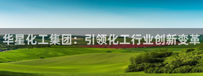 球盟会和中欧